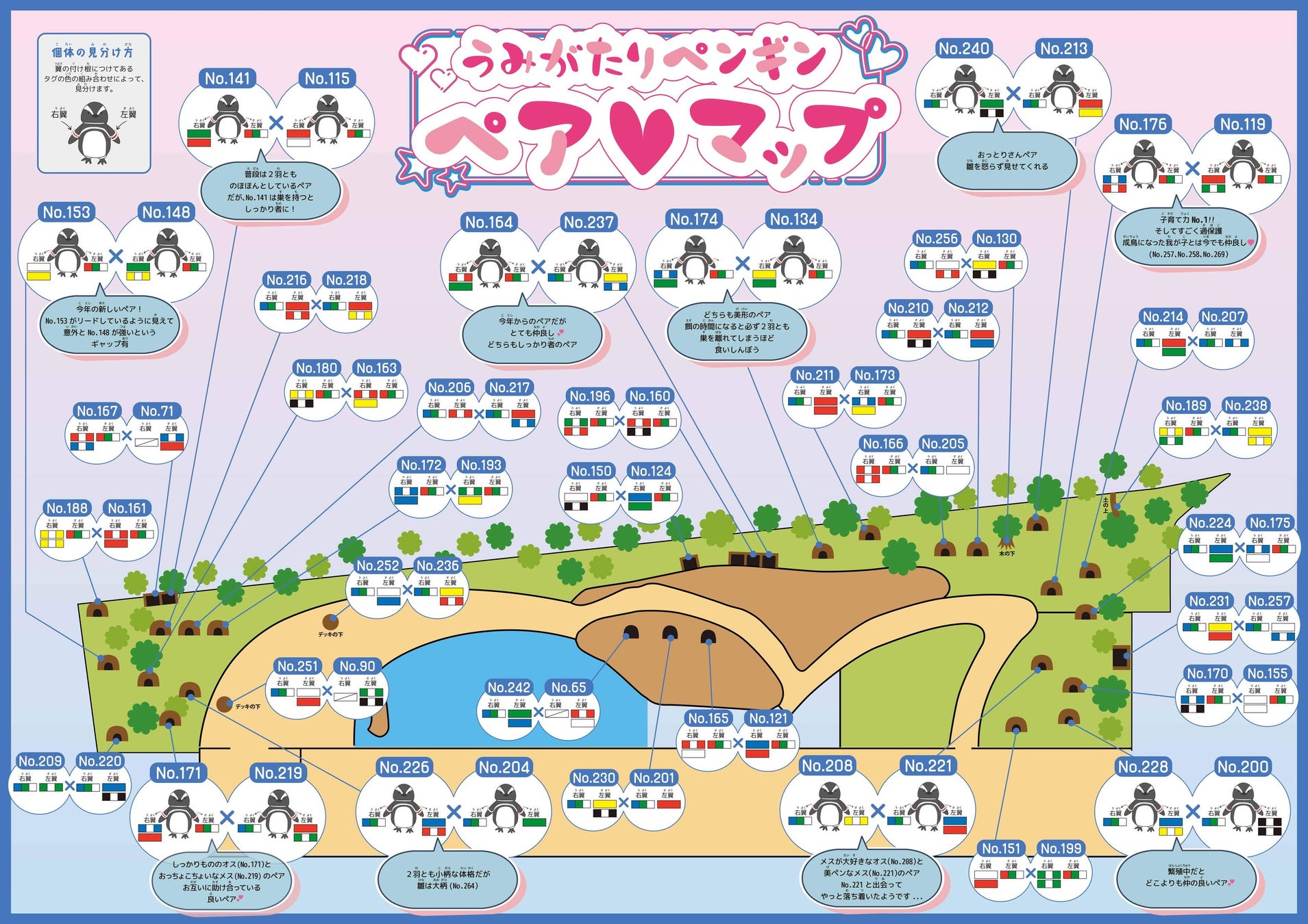 上越市立水族博物館 うみがたり:初夏のマゼランペンギン祭り! 上越市立水族博物館 うみがたり:初夏のマゼランペンギン祭り!
