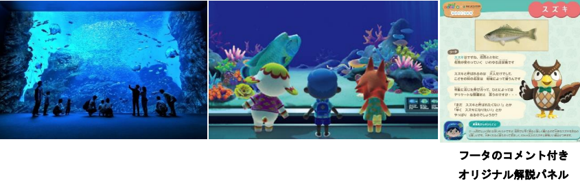 仙台うみの杜水族館】あつまれ どうぶつの森 × 仙台うみの杜水族館海の