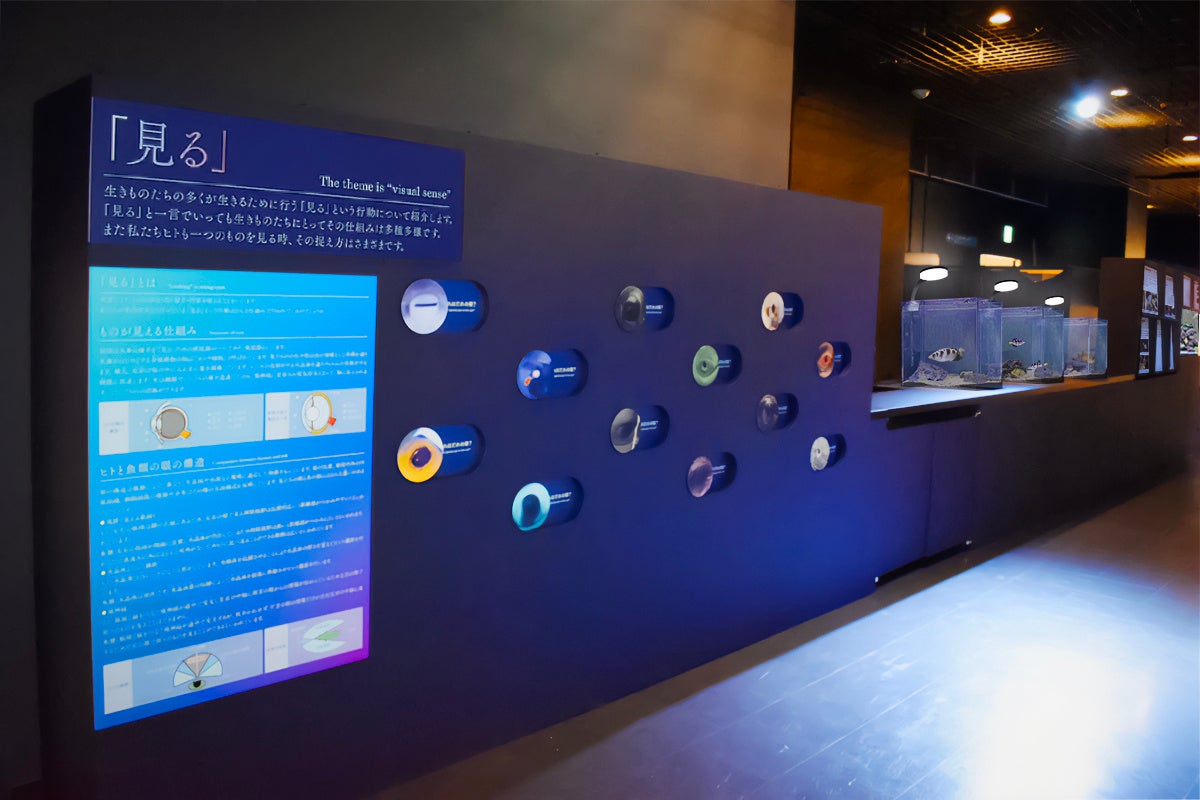 「Wonder Reserch　※イメージ」