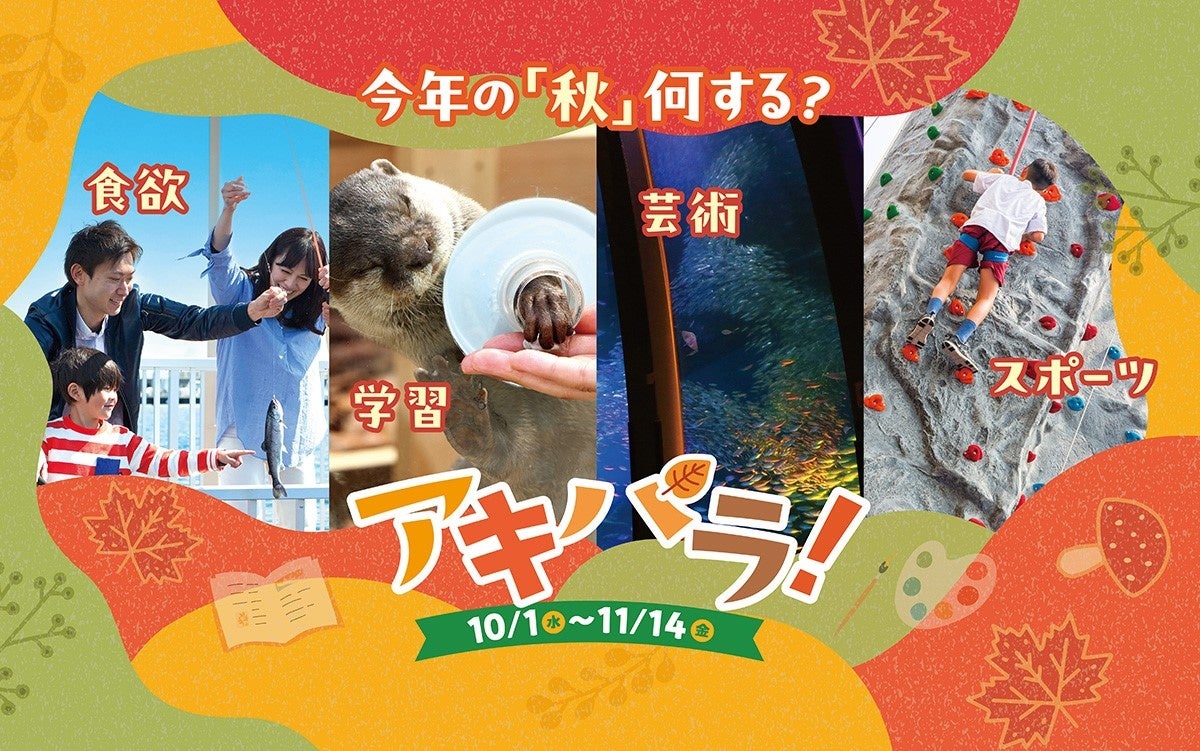 アキパラ!/青ブタコラボイベント/うみがたりハロウィン2025
