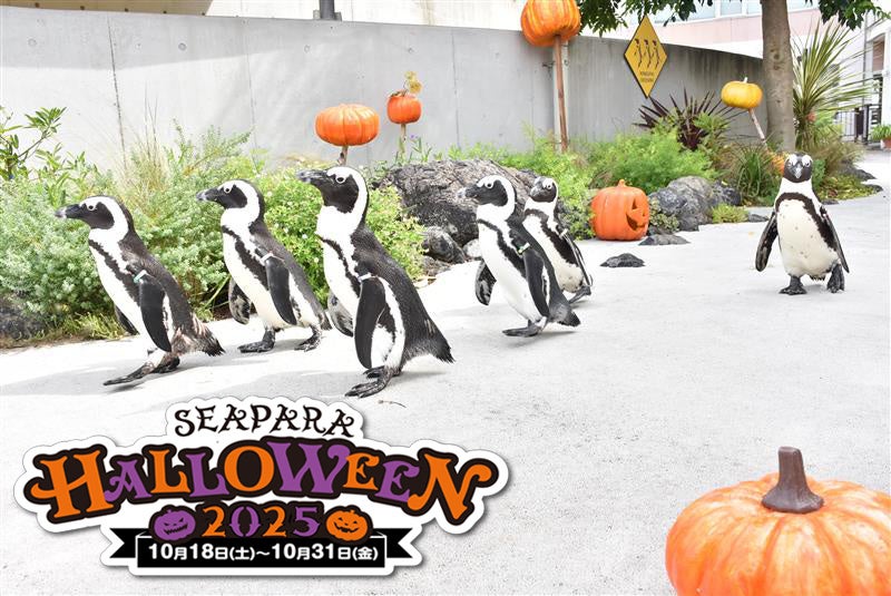 【横浜・八景島シーパラダイス】ハロウィンをテーマとしたイベントやフードをご用意!『SEAPARA HALLOWEEN 2025』【2025年10月18日(土)~10月31日(金)】
