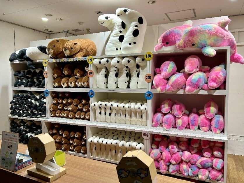 仙台 うみの杜水族館 アシカ ぬいぐるみ アシカ グレー 赤ちゃん ぬいぐるみ 中 仙台うみの杜水族館 - メルカリ