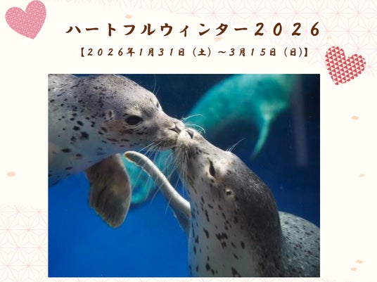 【上越市立水族博物館 うみがたり】ハートフルウィンター2026【2026年1月31日(土)~3月15日(日)】 【上越市立水族博物館 うみがたり】ハートフルウィンター2026【2026年1月31日(土)~3月15日(日)】
