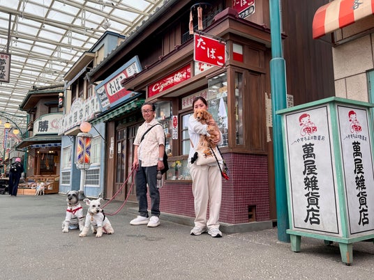 【西武園ゆうえんち】わんちゃんを新たな顧客として迎え入れました わんちゃんが遊園地を楽しめるイベント「わんわん西武園ゆうえんち」本日より開催! 【西武園ゆうえんち】わんちゃんを新たな顧客として迎え入れました わんちゃんが遊園地を楽しめるイベント「わんわん西武園ゆうえんち」本日より開催!