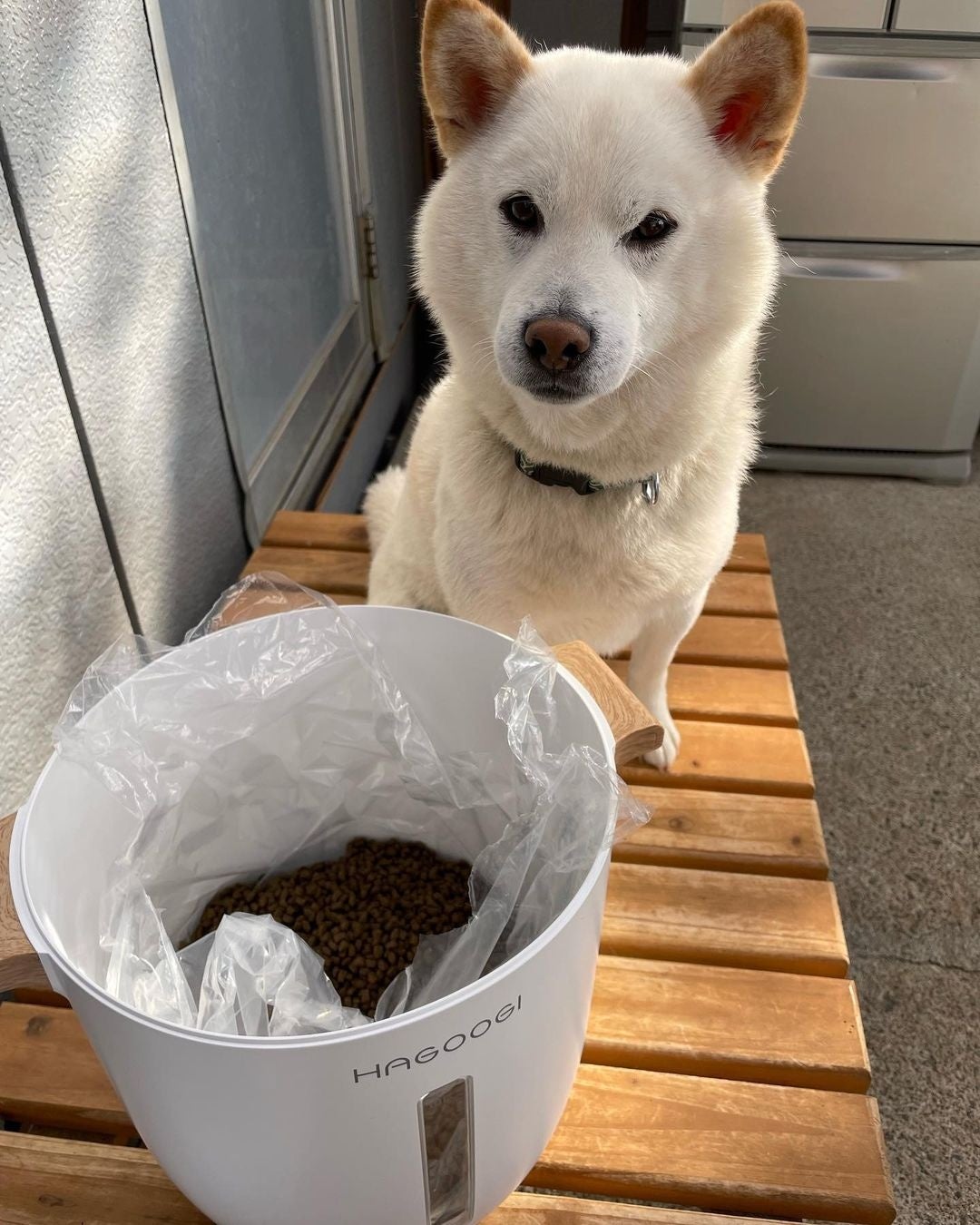 @mikanqtarosan Q太郎