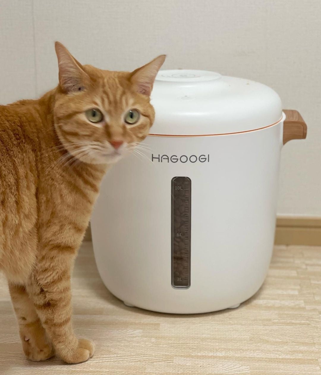ジメジメ梅雨時期に必要なアイテム｜『HAGOOGI真空保存容器との