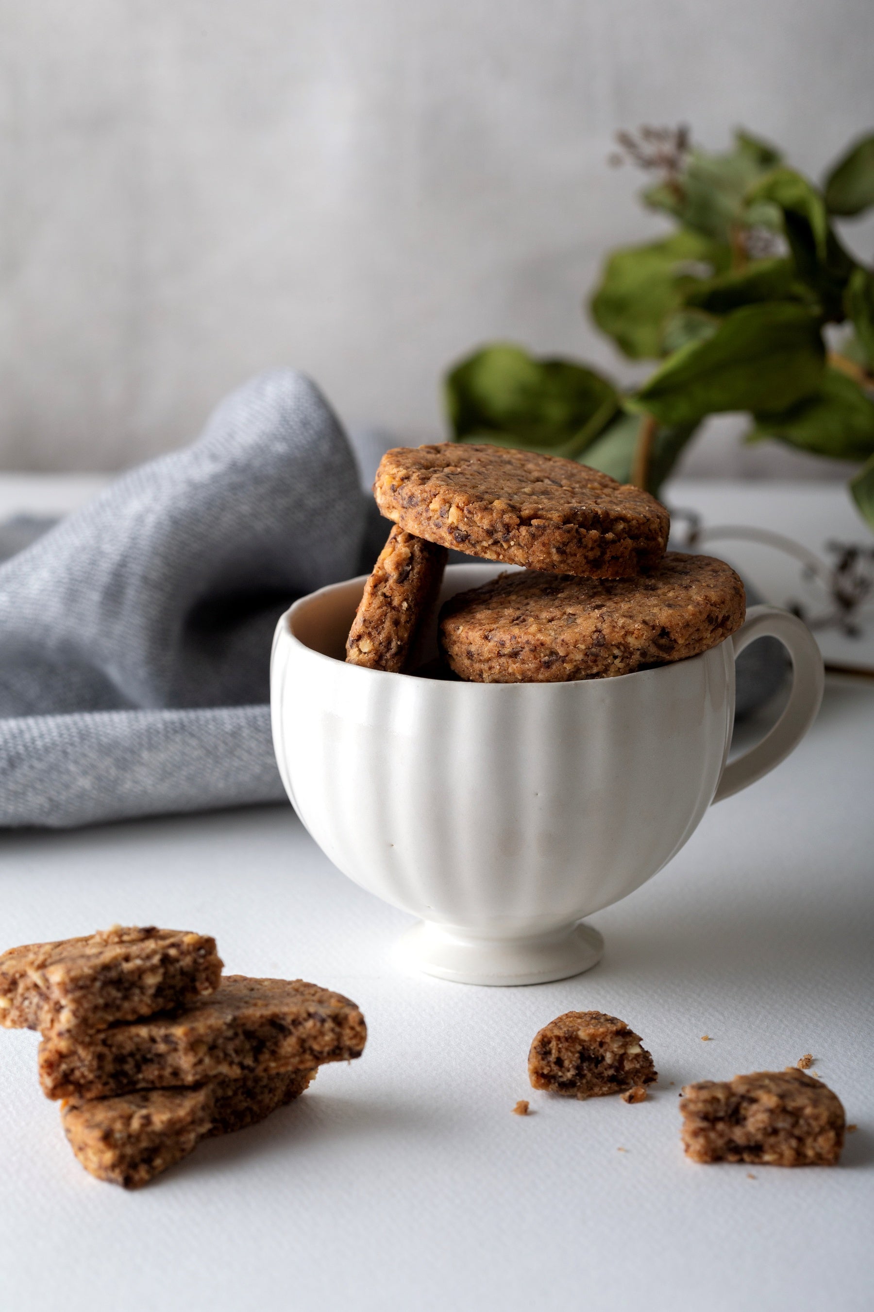 クッキーズ リュクス／チョコチップ　イメージ２