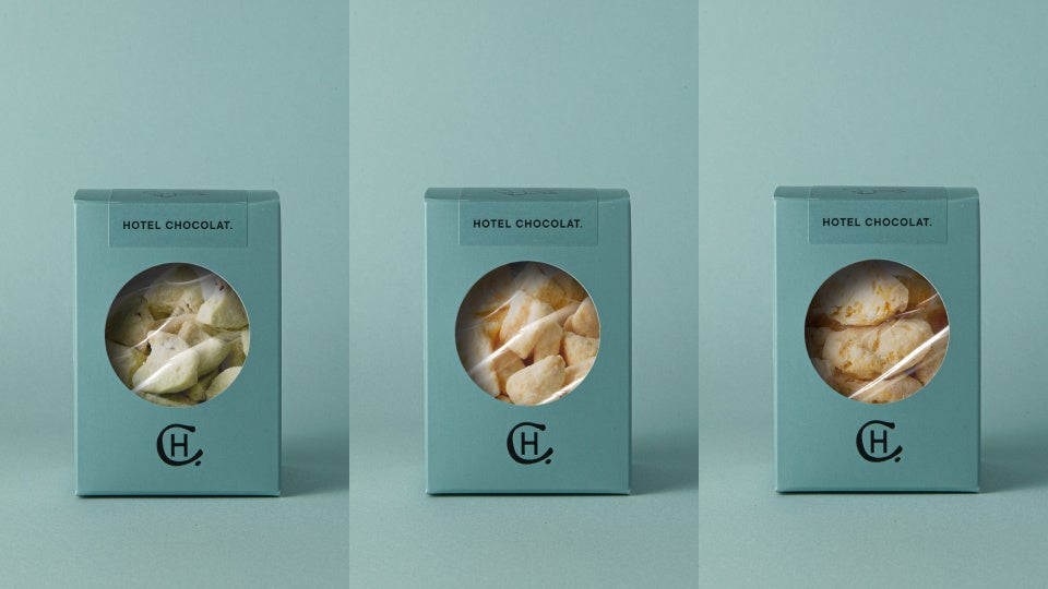 しみこみフルーツショコラ　キウイ、メロン、みかん