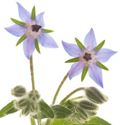 2022.4.21john masters organicsの製品の中で最も広く愛されてきた