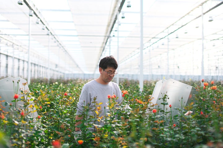 滋賀のクニエダ社、『あの人のバラ』プロジェクト募集中!SNSインフルエンサーとコラボ、特別なストーリーの新品種を試作 滋賀のクニエダ社、『あの人のバラ』プロジェクト募集中!SNSインフルエンサーとコラボ、特別なストーリーの新品種を試作