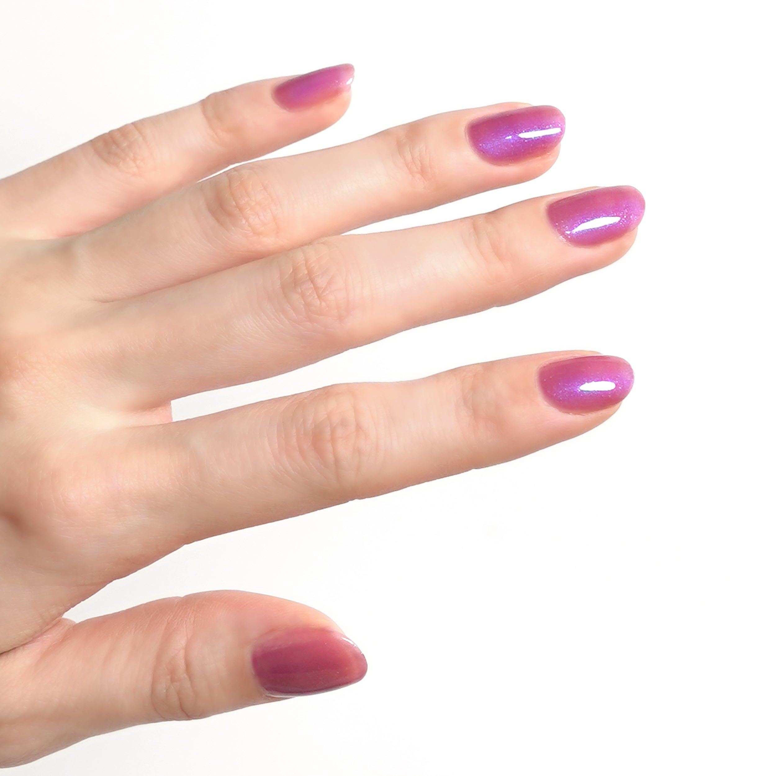 ハンドイメージ