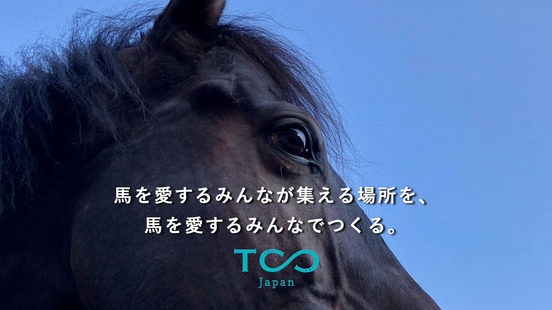 メインビジュアル