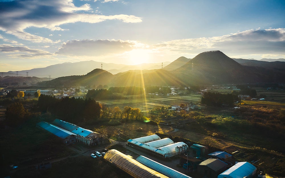 贅豚　生産農場風景