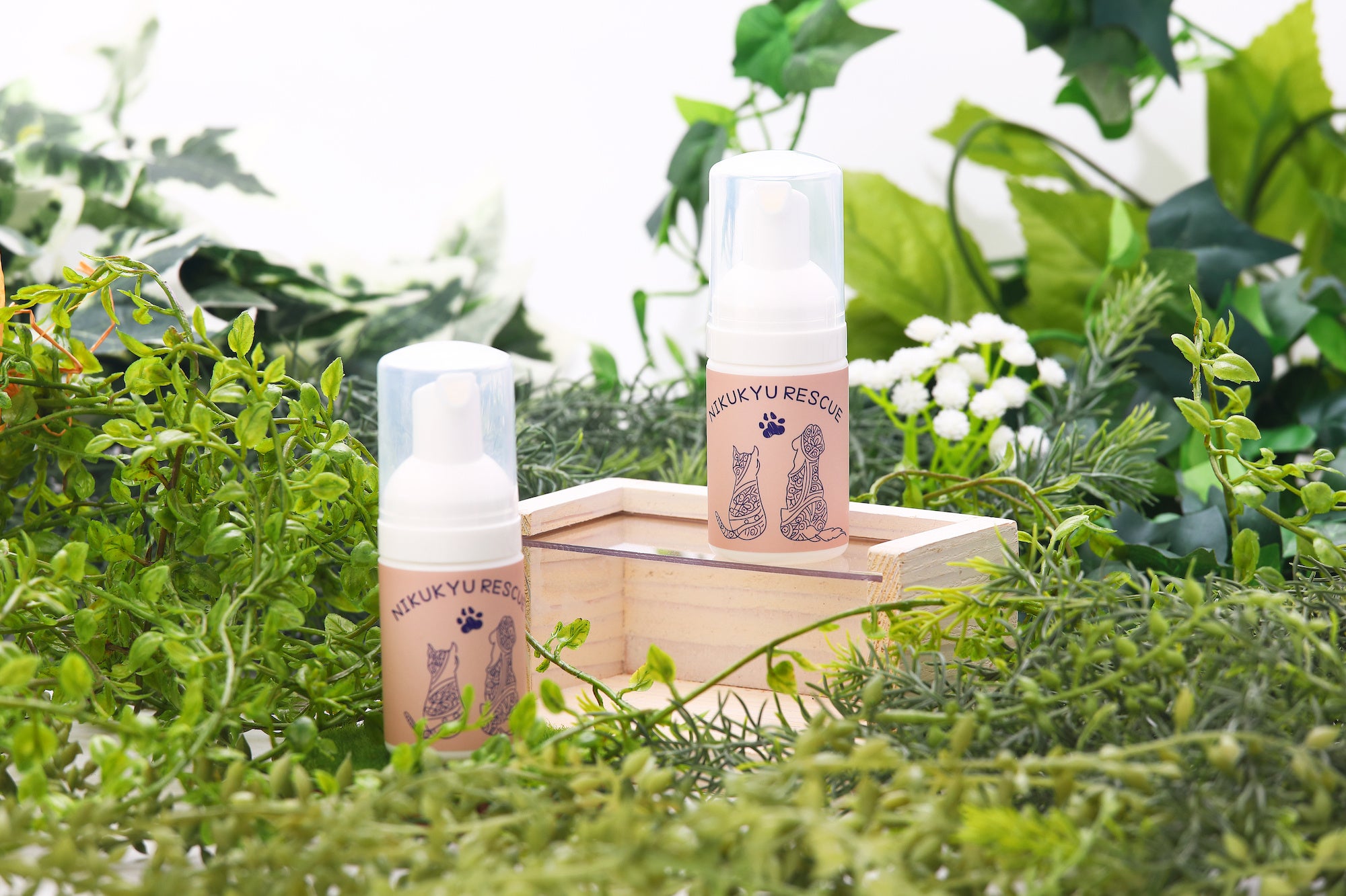 「肉球レスキュー」