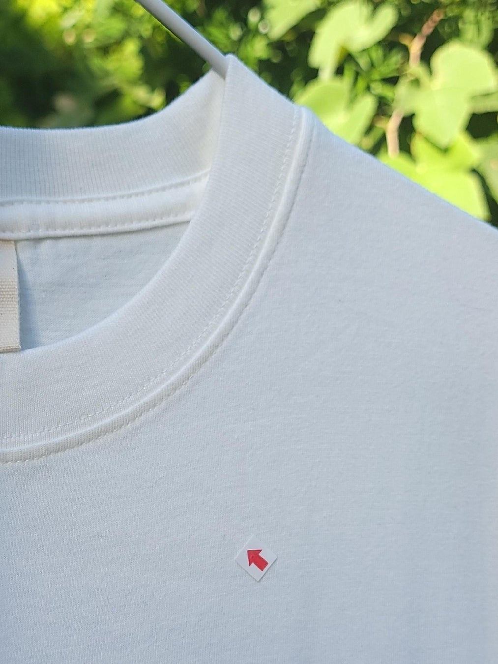 赤い矢印の先の“小さな暗い点”がコンタミ箇所(写真は無加工)