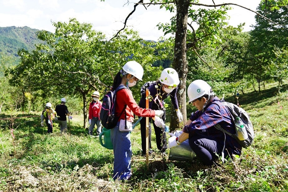 植林活動の様子