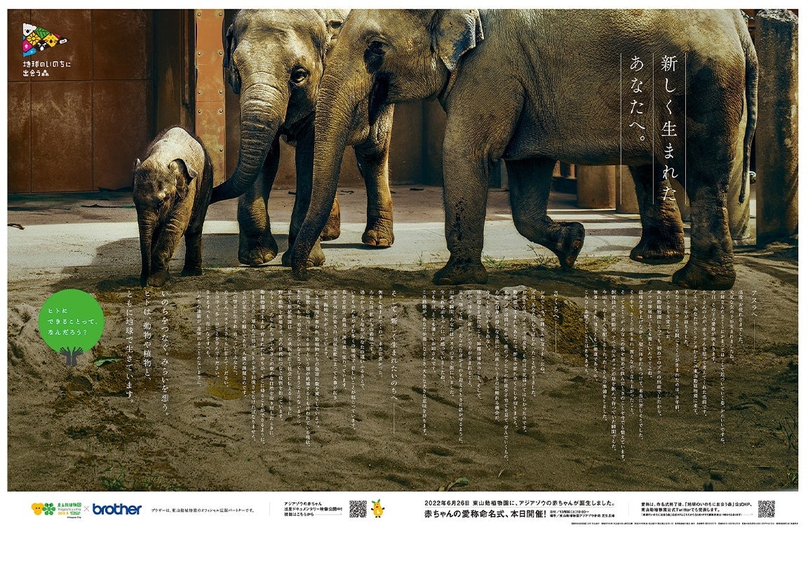 ブラザーが出稿した新聞広告