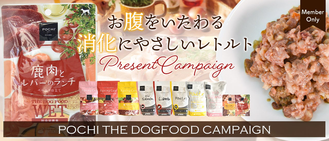 POCHI》季節の変わり目に、お腹をいたわるレトルトフードを