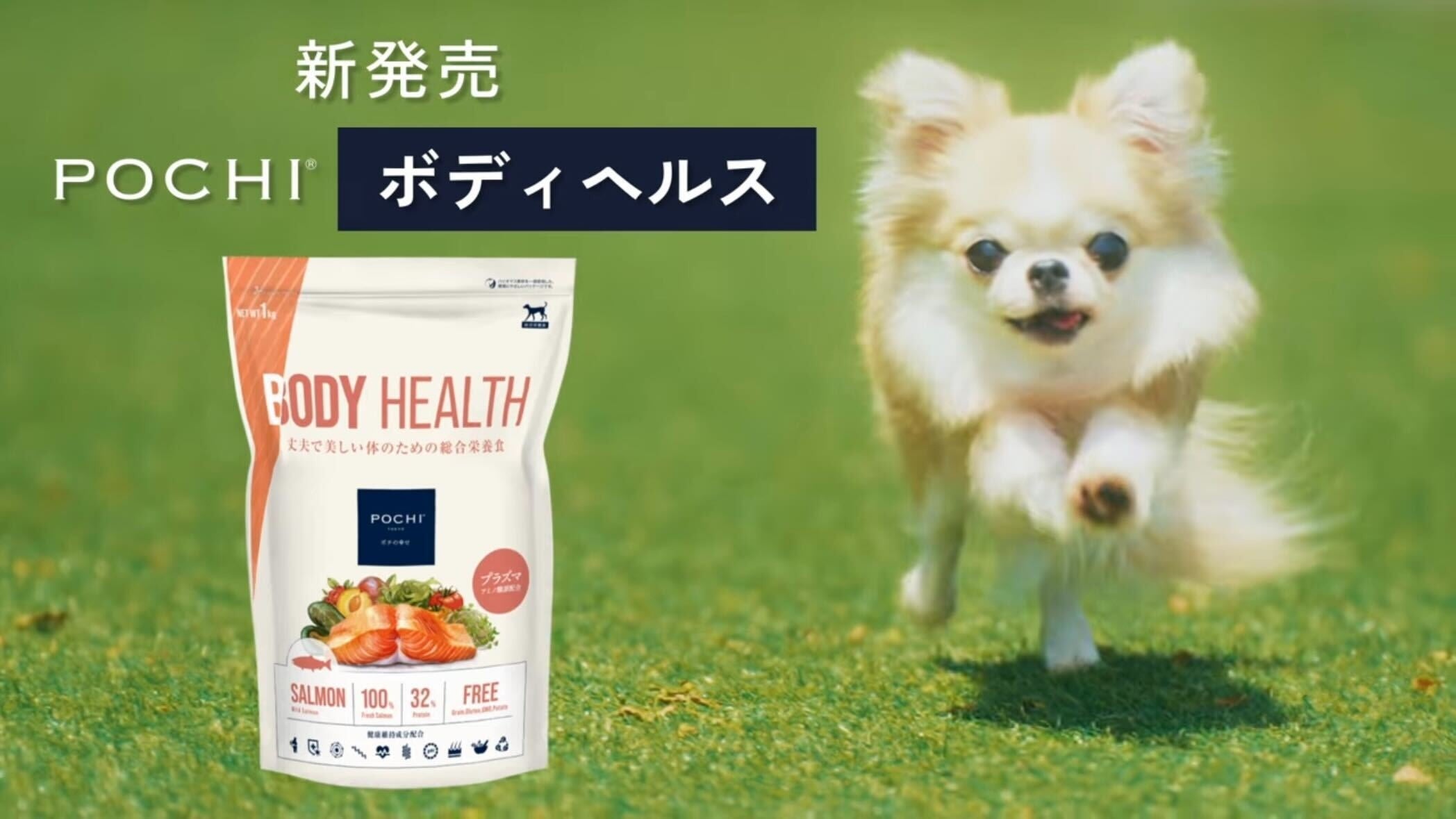 プレスリリース：《POCHI》新商品「POCHI ザ・ドッグフード ボディ