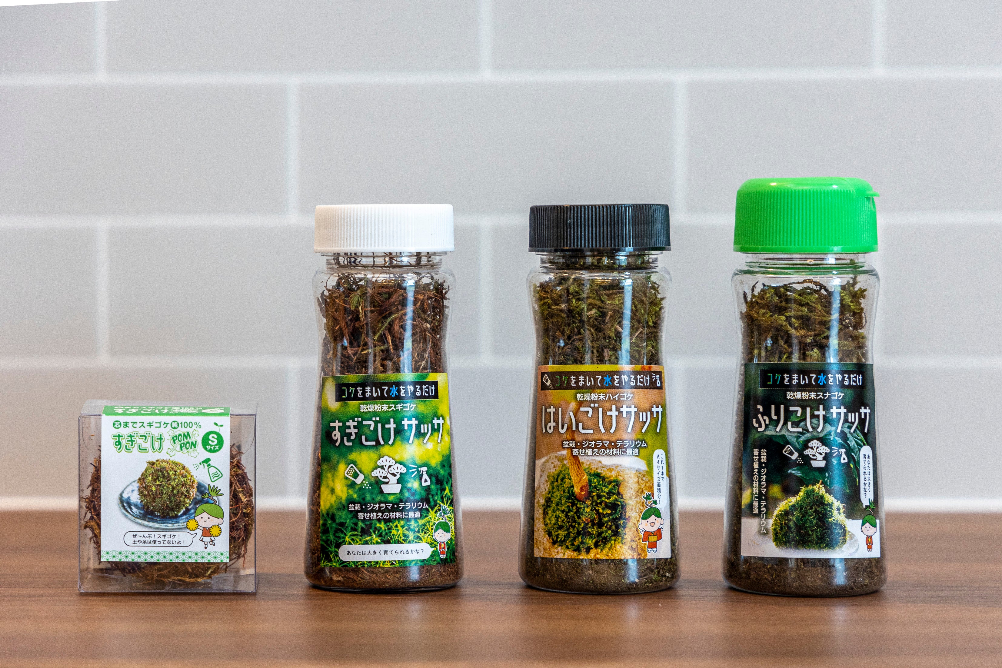 販売再開★継足品★10個セット◎ハイ苔5年物◎造園/苔玉★厚2〜3/長47幅32 販売再開☆継足品☆10個セット◎ハイ苔5年物