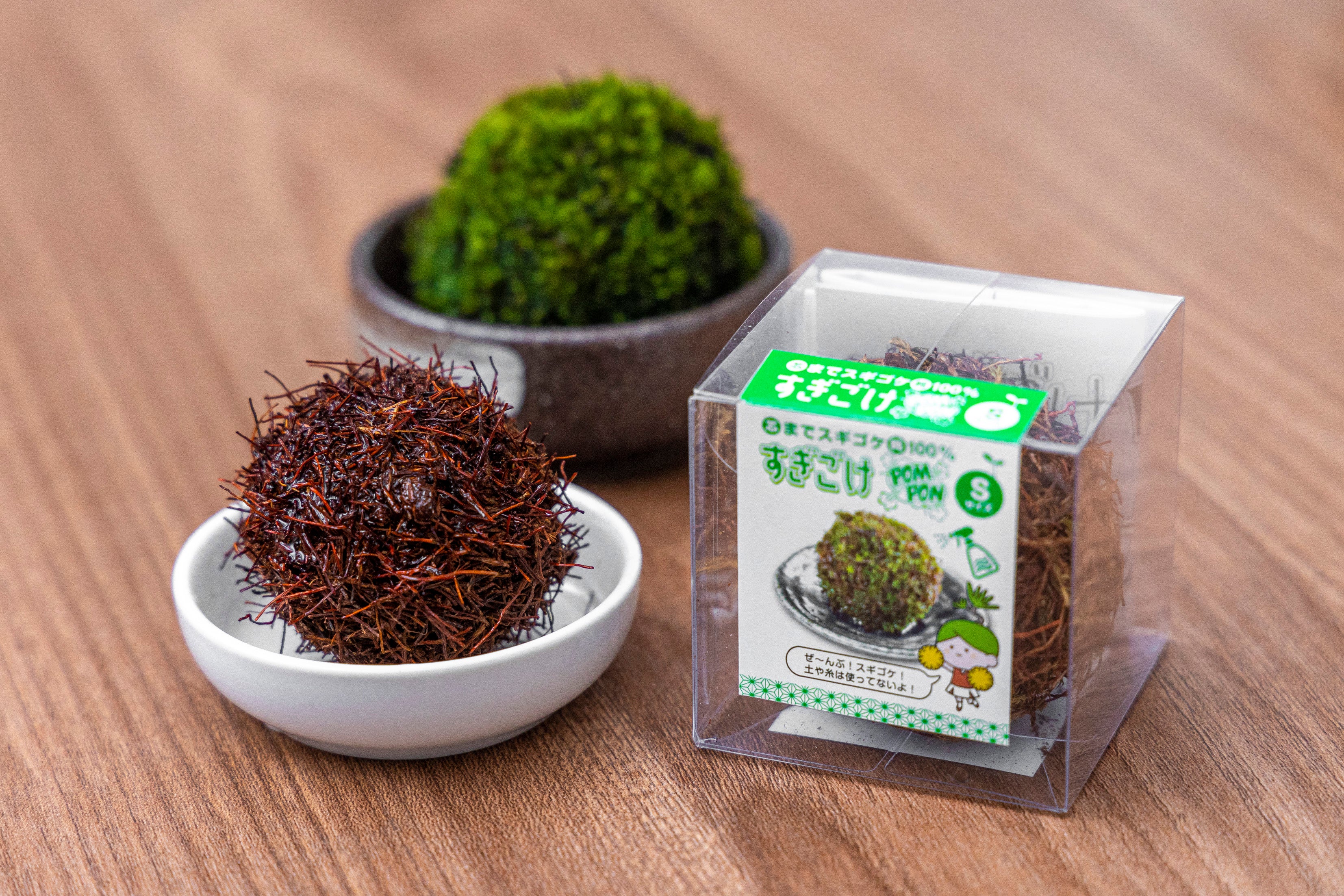 スナゴケ 10枚 スナゴケ 10枚 スナゴケ 約1平米セット(庭園用) | 苔の