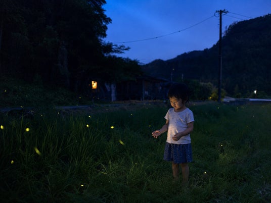 関東・夜の里山を歩き、天然蛍に会いに行く。東京から90分・千葉富津のグランピング和心村で6/1開始 関東・夜の里山を歩き、天然蛍に会いに行く。東京から90分・千葉富津のグランピング和心村で6/1開始