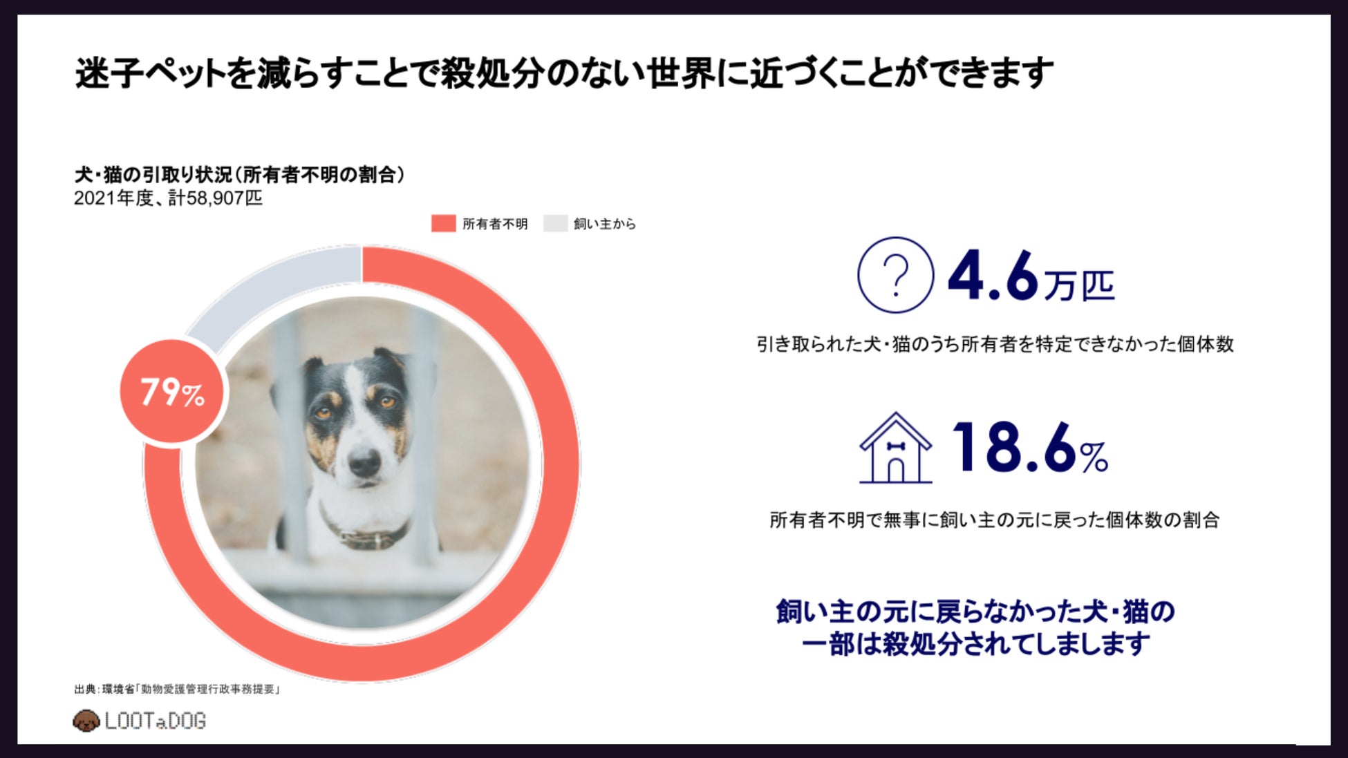 迷子ペットを減らすことで殺処分のない世界に