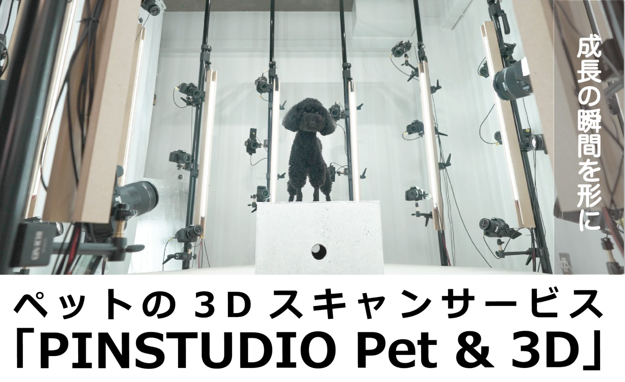 ペットのスキャンサービスPINSTUDIO Pet & Photo