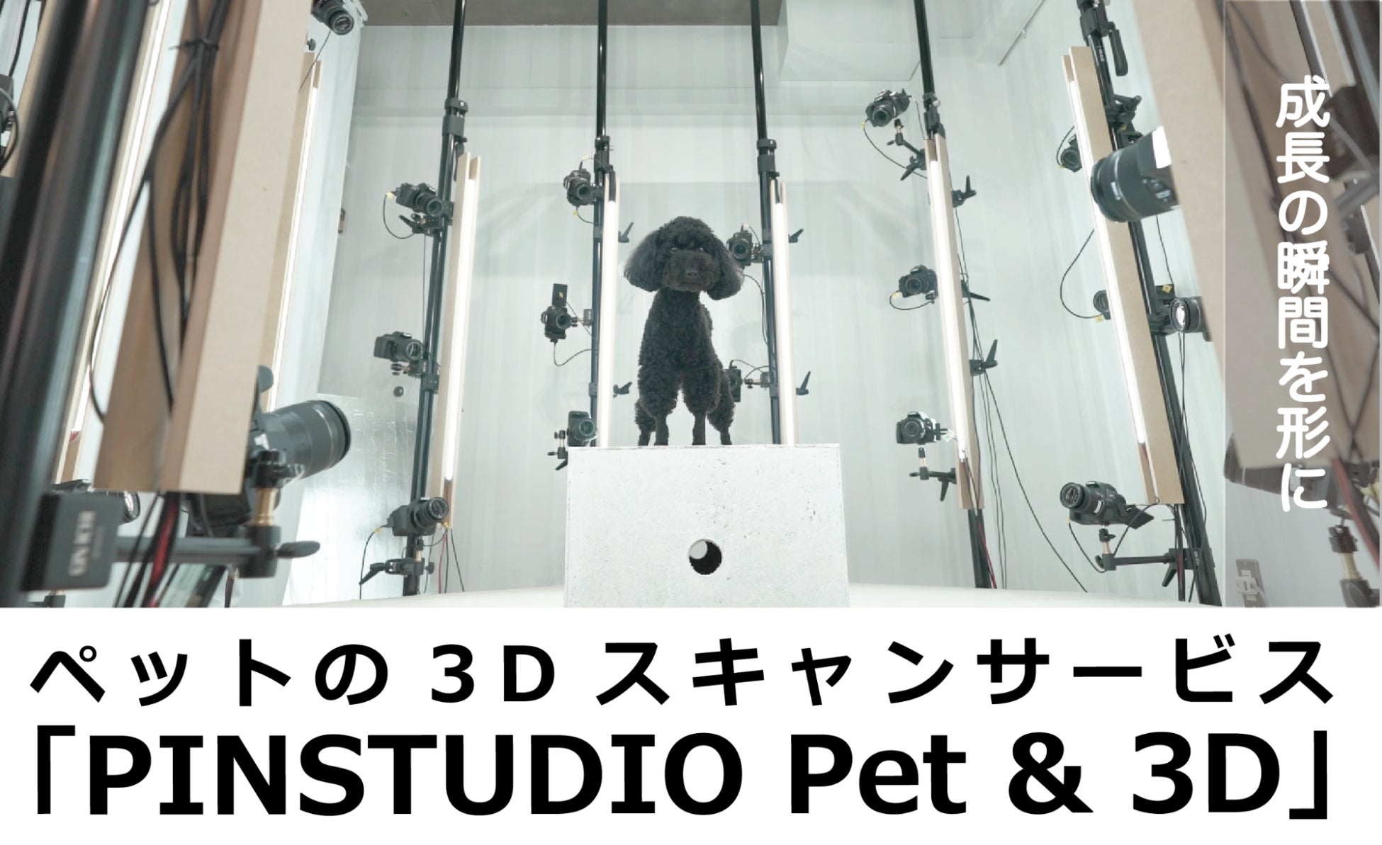 ペットのスキャンサービスPINSTUDIO Pet & Photo