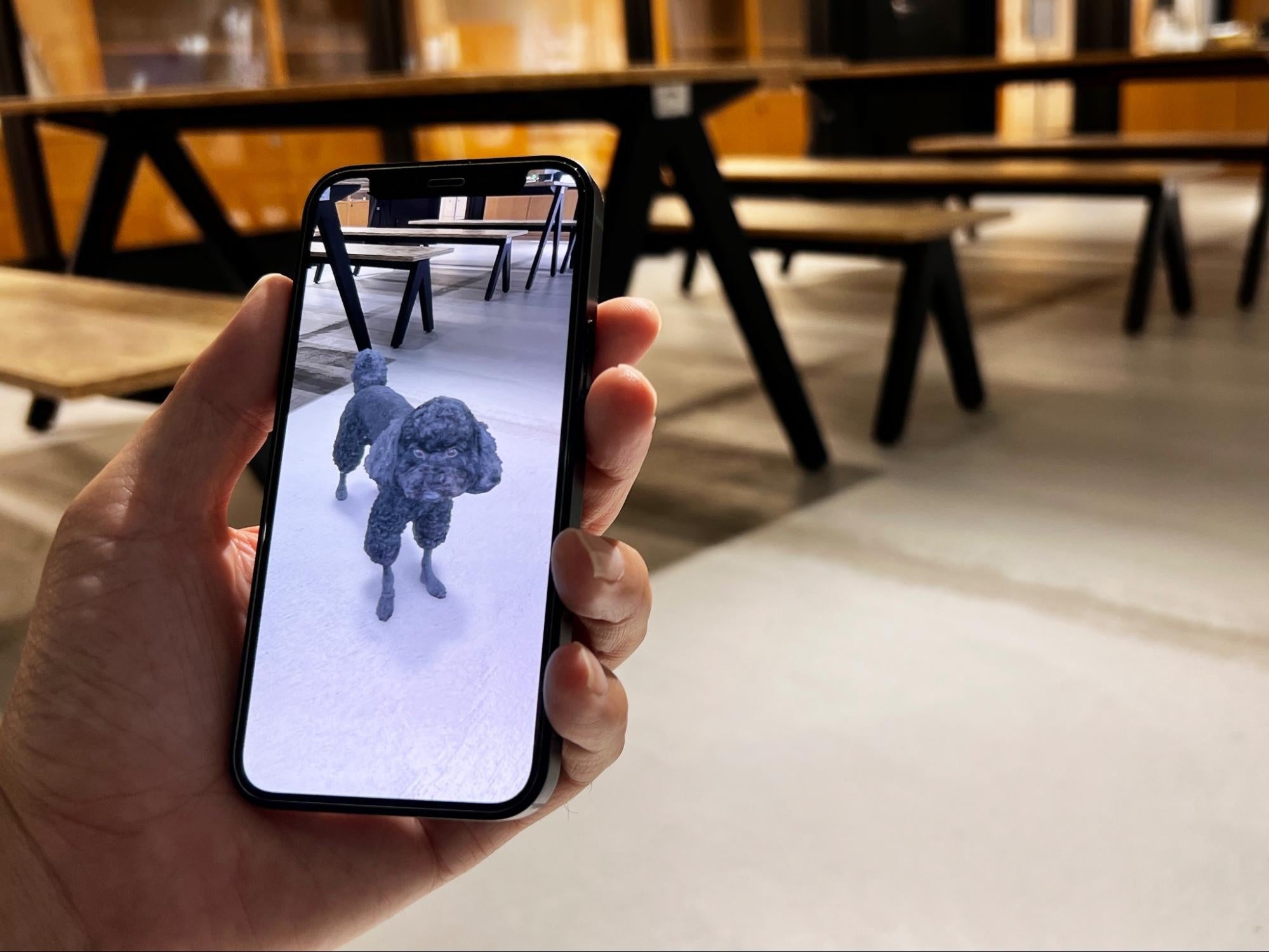 PINSTUDIO Pet & Photo