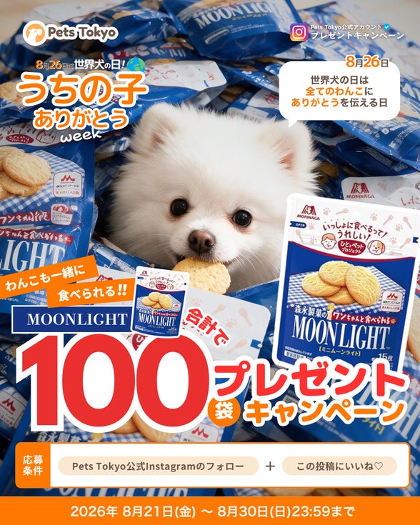 Lehman Hodingsのキャンペーン画像