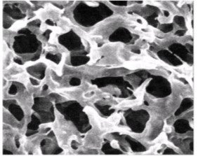 一般的なろ材（精密ろ過膜）