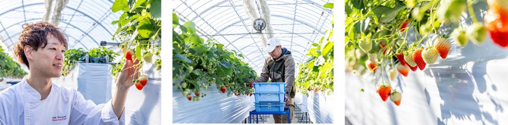 岐阜県各務原市「みのり農園」