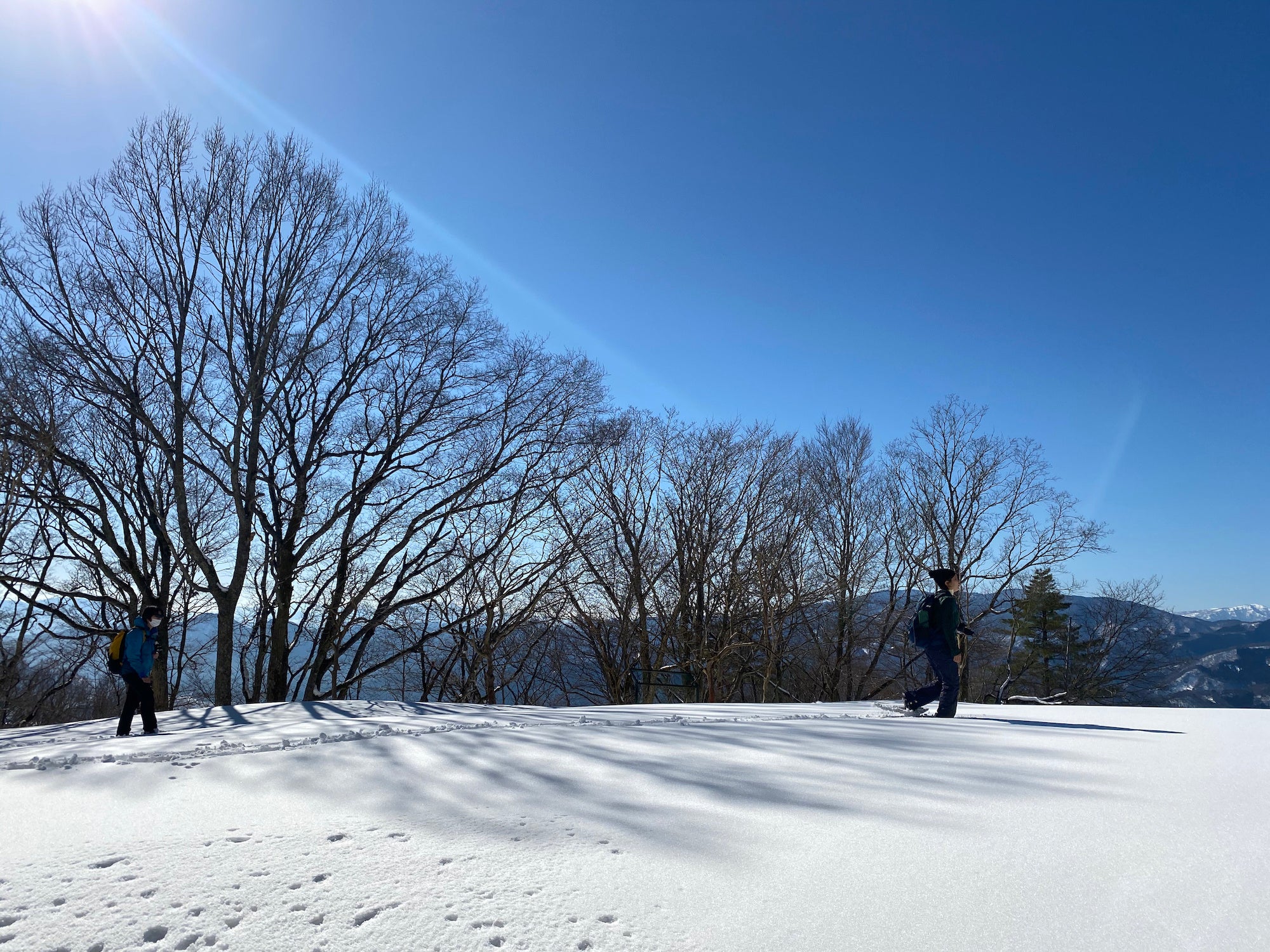提供：かんなべ自然学校