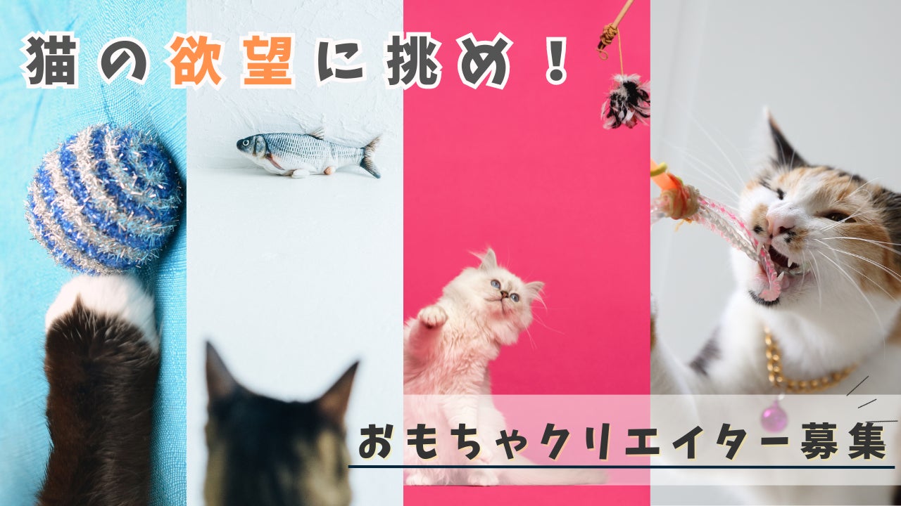 株式会社ienekoが新プロジェクト「猫のためのおもちゃサブスク」始動！猫愛を持つクリエイター募集中！