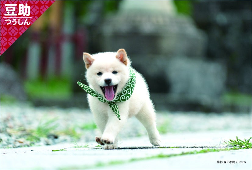 三省堂書店：壁掛けカレンダー特典