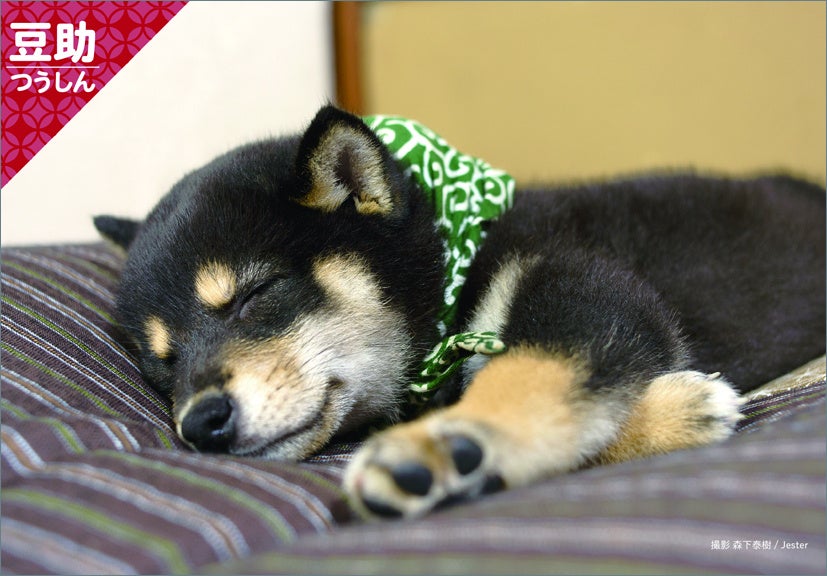 楽天ブックス：壁掛けカレンダー特典