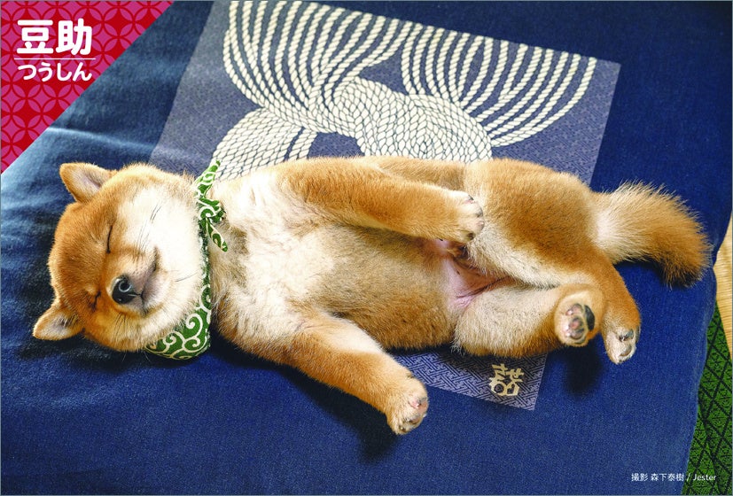 楽天ブックス：卓上カレンダー特典