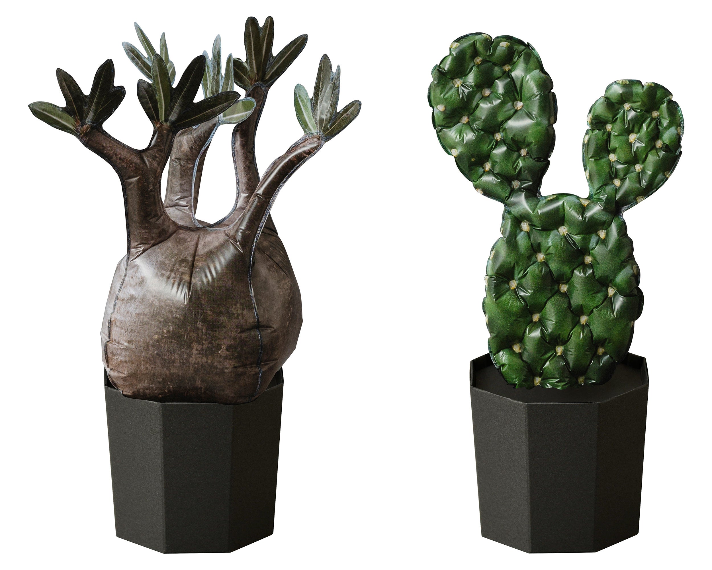 空気でふくらむ日常がうるおう風船植物「QooSo Plants®」の新製品を発売! | エスエージーバルーンズ株式会社のプレスリリース 空気でふくらむ日常がうるおう風船植物「QooSo Plants®」の新製品を発売! | エスエージーバルーンズ株式会社のプレスリリース