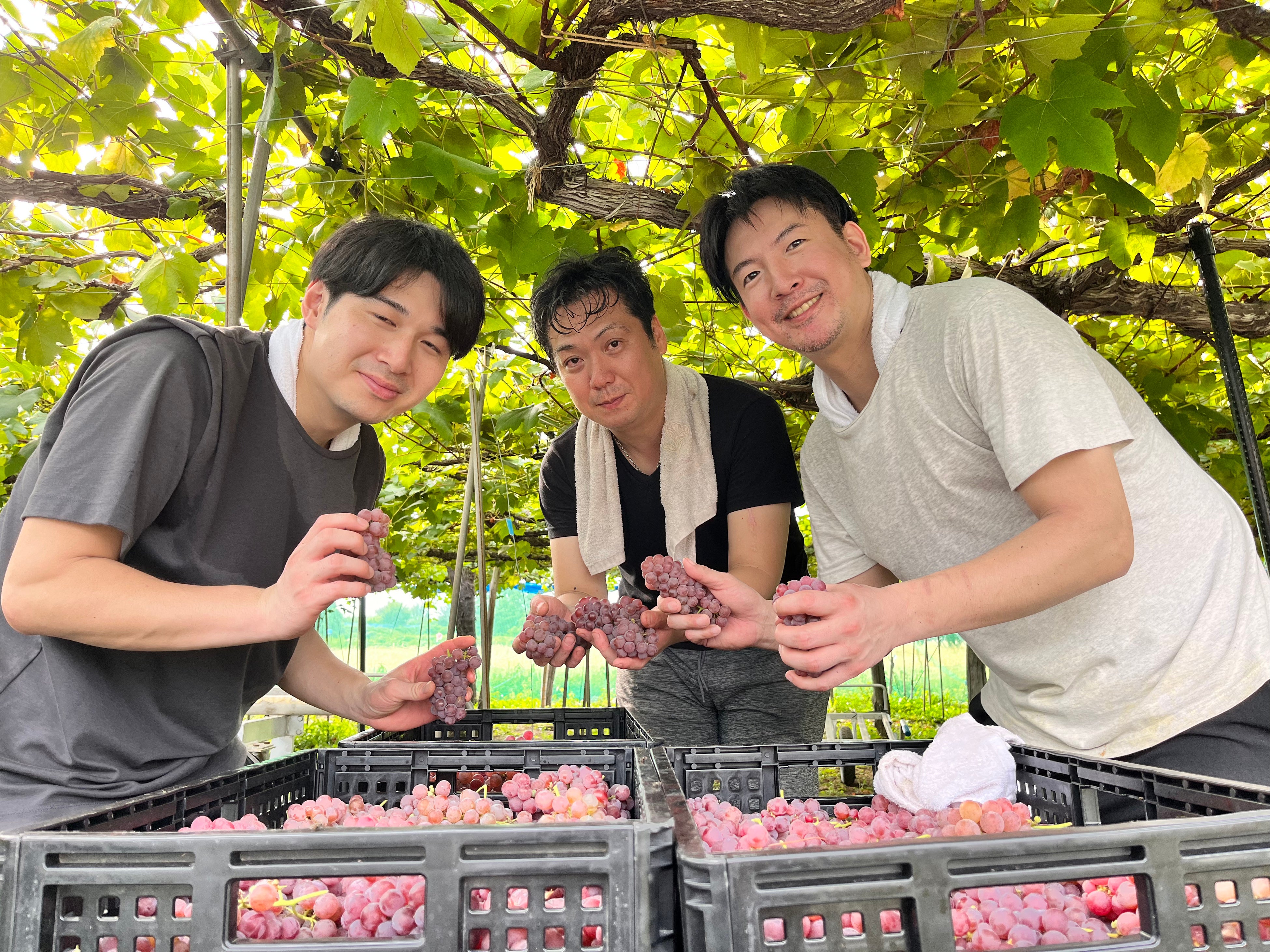 グレープリパブリックで栽培の手伝いにやってきたサローネグループのメンバー。