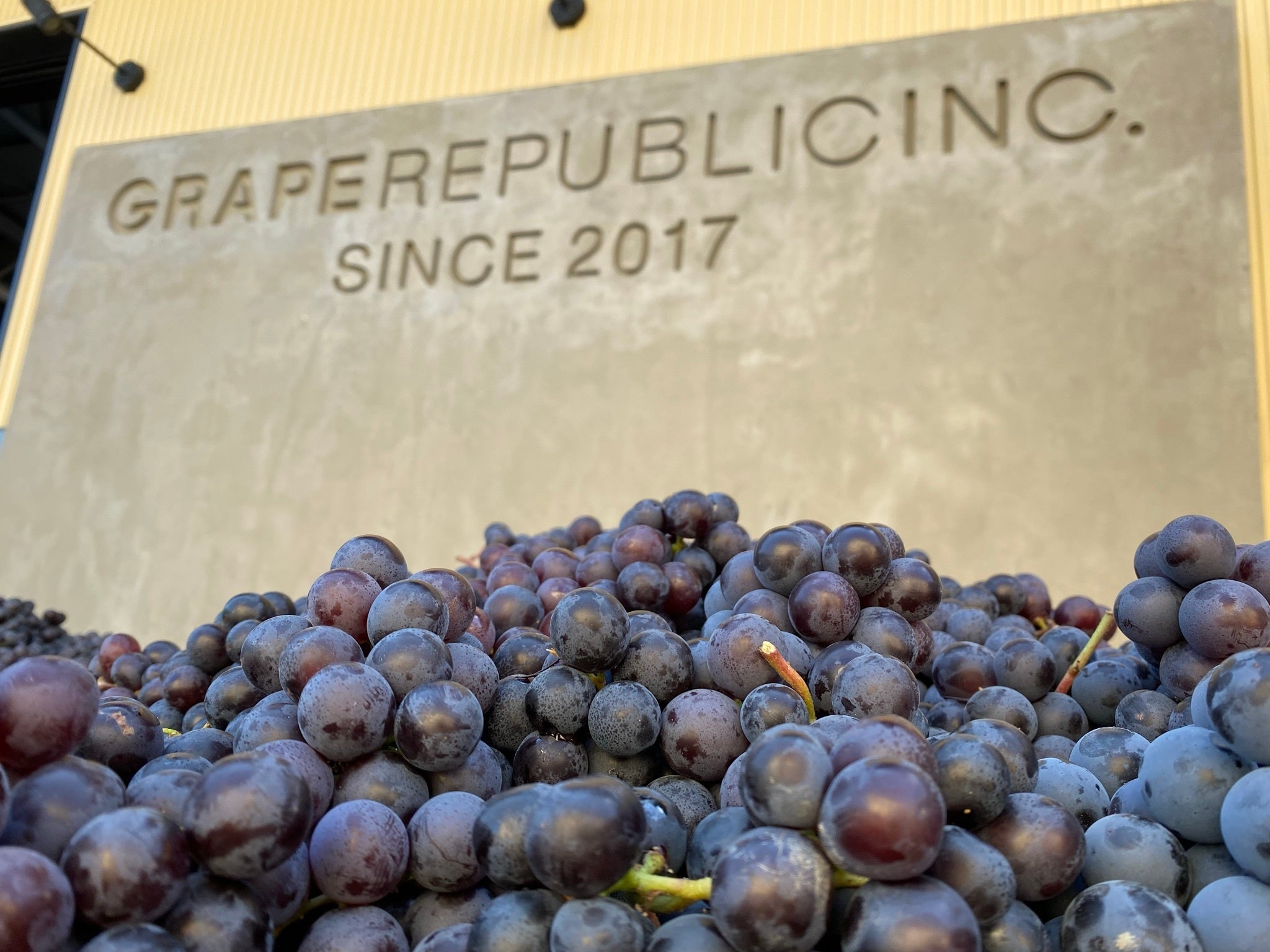 GRAPE REPUBLIC