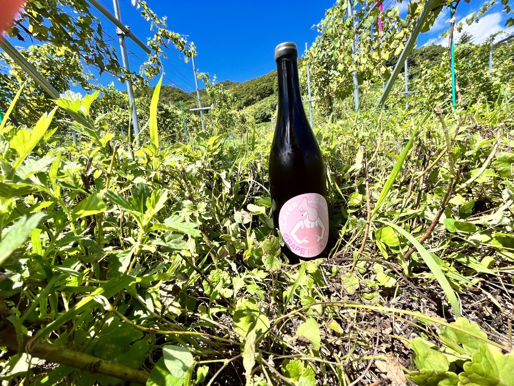 新田地区の自社農園で撮影した「Cuvée Shinden 2021」。