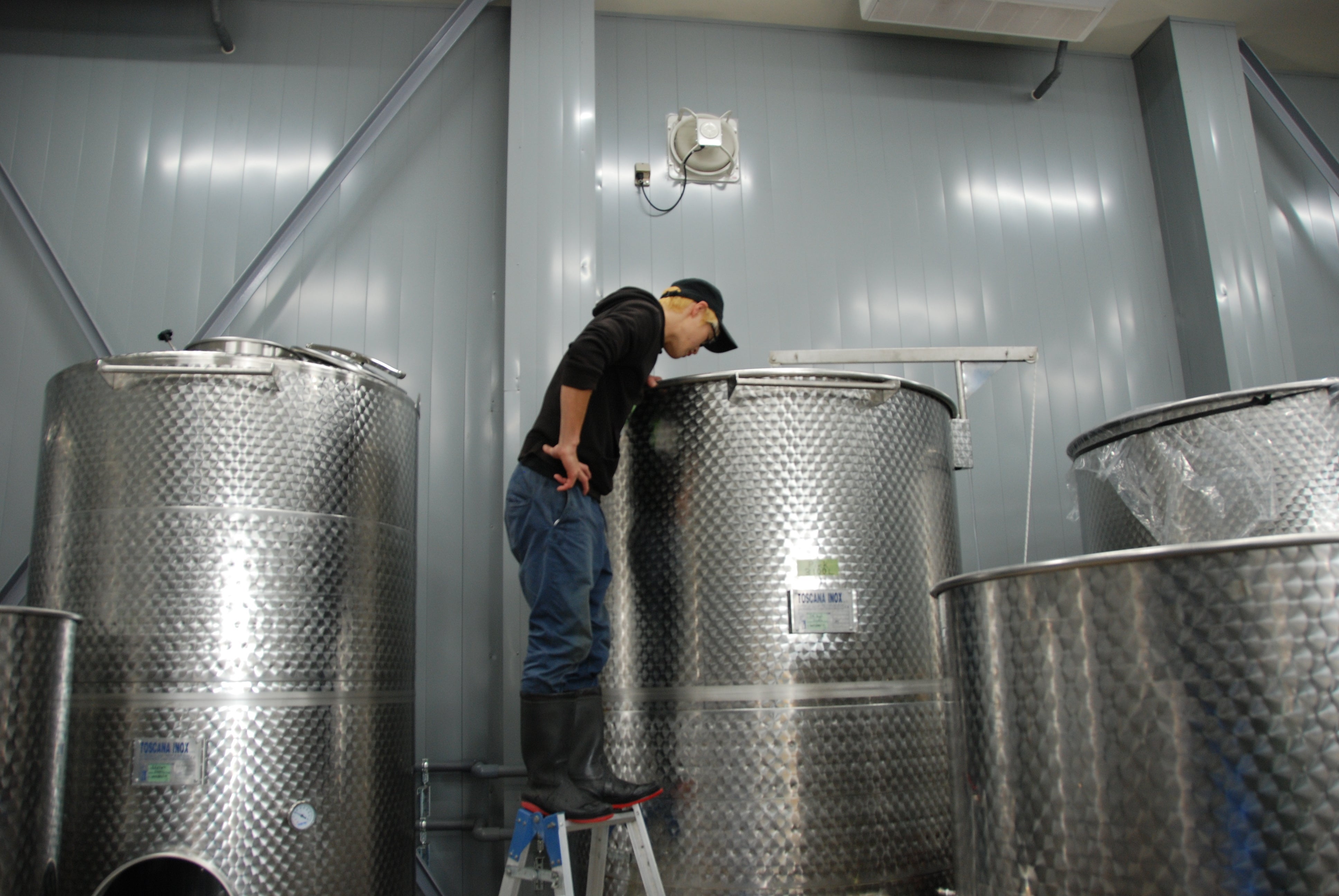 醸造所内にはステンレスタンクが並ぶ。