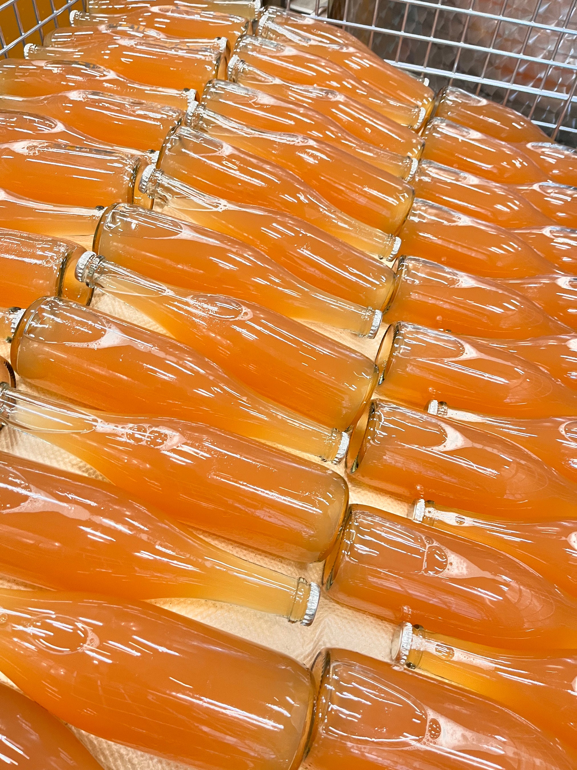 瓶詰されたばかりの「ピケット 2023」。今回から軽量化されたボトルを採用している。