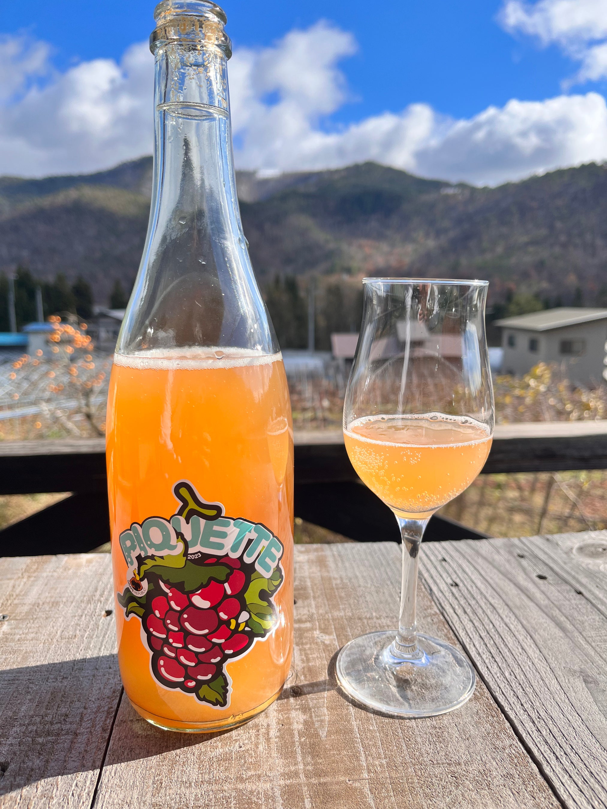 「ピケット 2023」の商品画像。