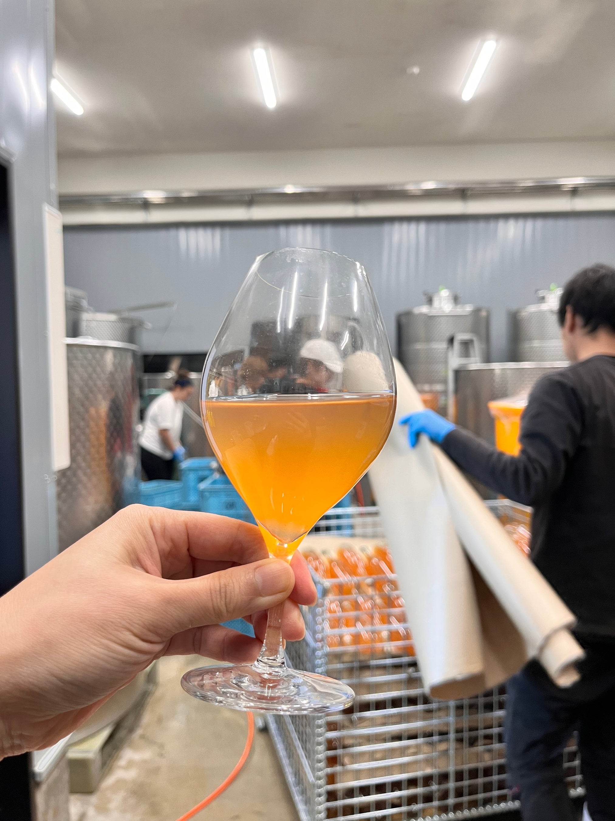 完成したばかりの「ピケット 2023」。