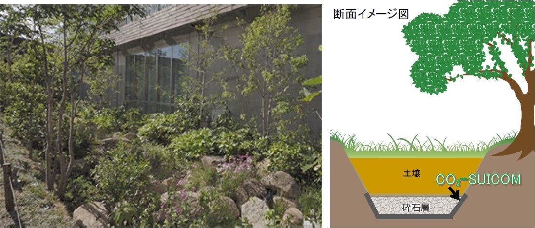 CO₂-SUICOMを底板・側板に採用した外構緑地システム「DEWレインガーデン®」