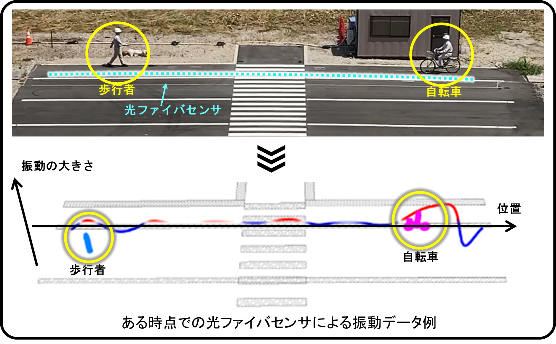 歩行者・自転車の追跡結果例