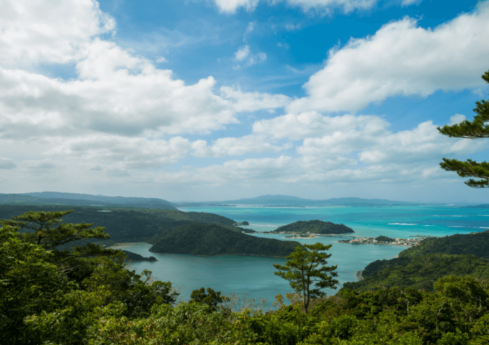 沖縄県北部（やんばる）の景観