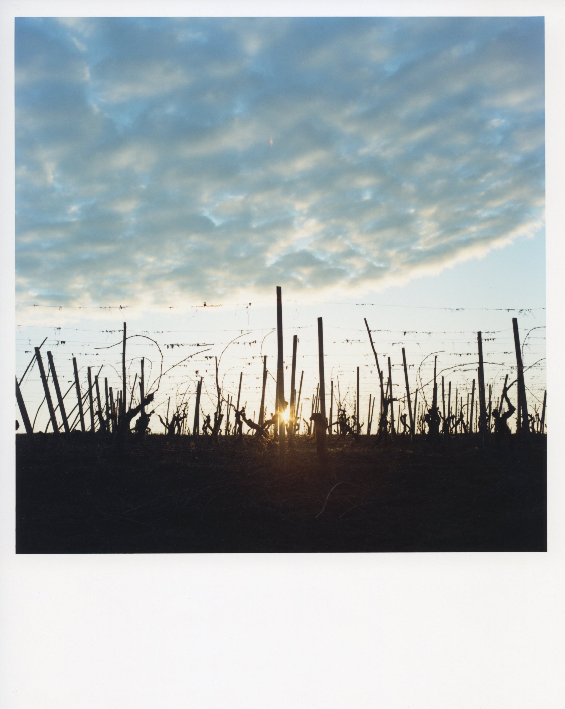 撮影：福田秀世氏